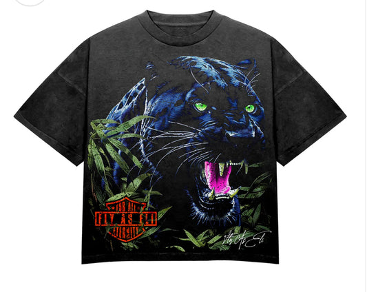 Fly As Eli “Highly Favored” Vintage Wash Distressed Tee